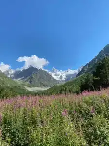 Сафари Парк - 2
