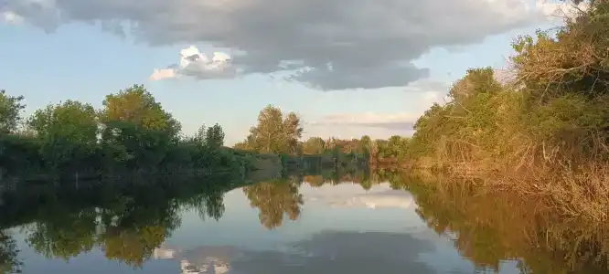 Дружба - 11