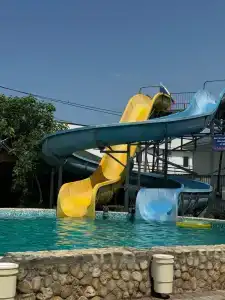 Альбатрос - 55