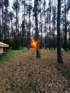 Юршино - 46