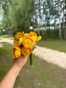 Сойма Парк - 36