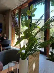 Старый Город - 96