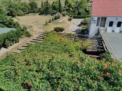 Жемчужина - 16