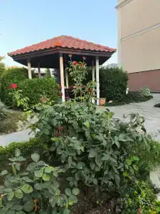 Manor Beach Kazantip - 86