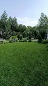 Метелица - 59