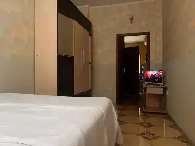 Сосна и Пальмы - 15