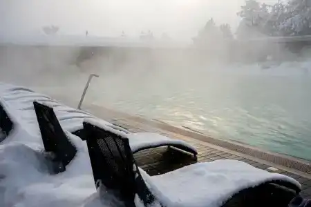 Кедровый Бор - 12