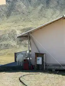 Выше гор - 12