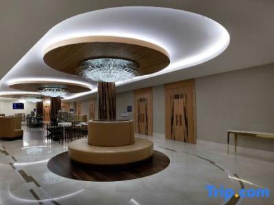 Radisson Blu, Istanbul Sisli - 90