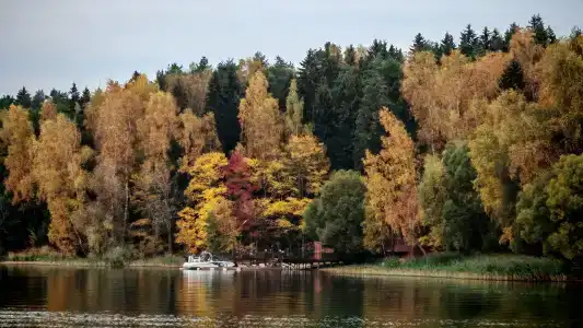 Лада Holiday - 5