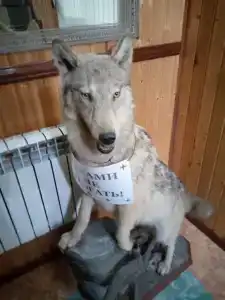 Старый мирошник - 45