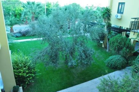 Palm Court Suites - 13