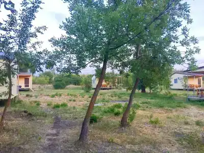 РыбачОК - 0