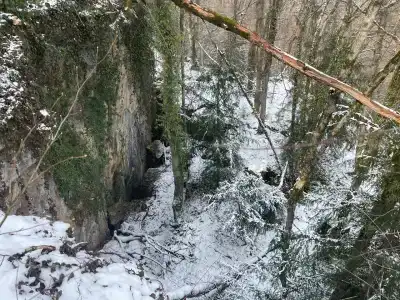 Золотой олень - 4