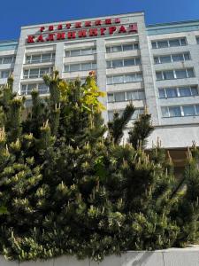 Калининград - 61