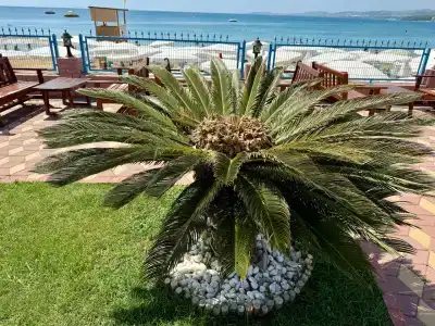 Lonicera World Resort & Spa - Ultra All Inclusive - 98