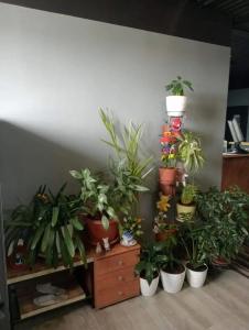 Полярник - 14