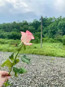 Серёжкино - 5