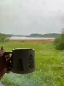 Karelia shum off - 25