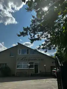 Вернисаж - 30