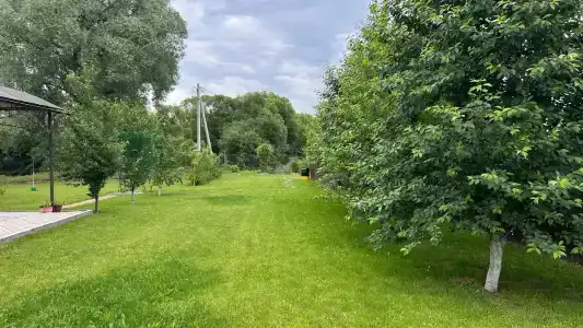 Светлана - 85