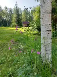 База отдыха у Игнойлы - 5