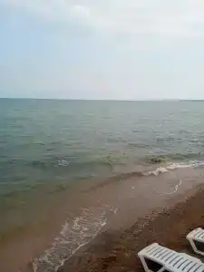 Жемчужный - 93