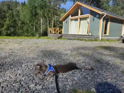 Forest Park - Tiny House - 38