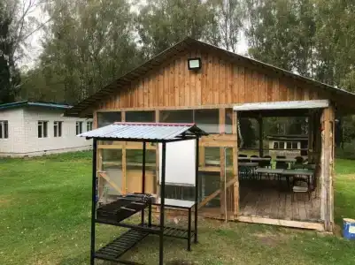 Берёзка - 12