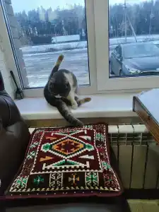 Фазенда - 6