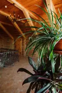 Алексеевская Усадьба - 14