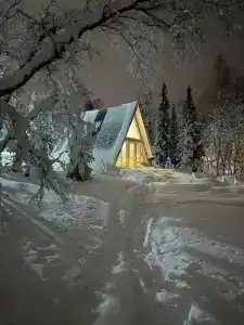 Хаски Кэмп - 54