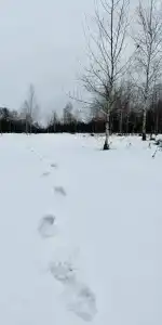 Sup Ruza Glamping - 15