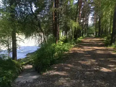 Эдельвейс - 15