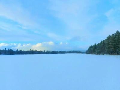 Кица ДСС - 46