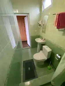 Фламинго - 12