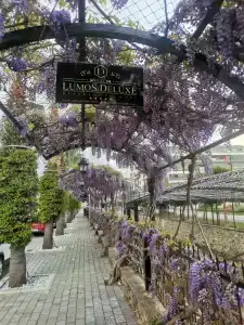 The Lumos Deluxe Resort & Spa - 88