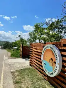 Амбассадор - 66