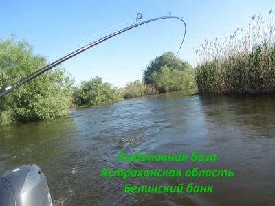 Фишка - 6