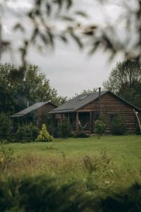 Холки camp - 2
