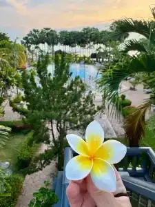 Botany Beach Resort - 43