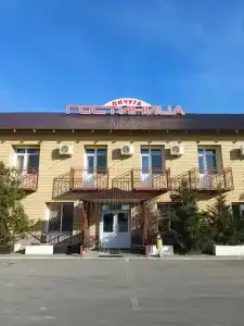 Пичуга - 28