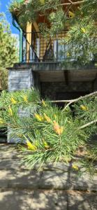 VolgaPark - 26