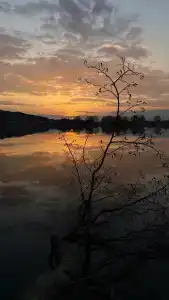 Баглачевские дачи - 44