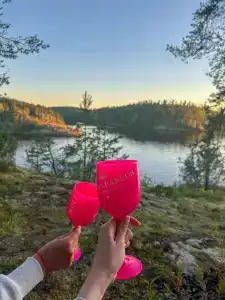 Jakoniemi village - 27