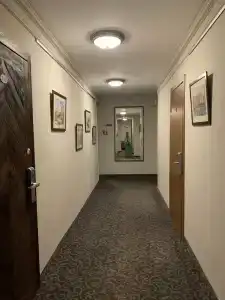 Пушка ИНН - 32