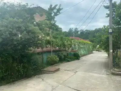 В гостях у Риты - 46