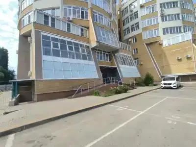 Подушкин - 15