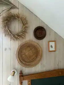 Пенеснарь - 33