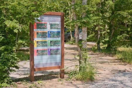 Туристический лагерь Абрау-Дюрсо - 10